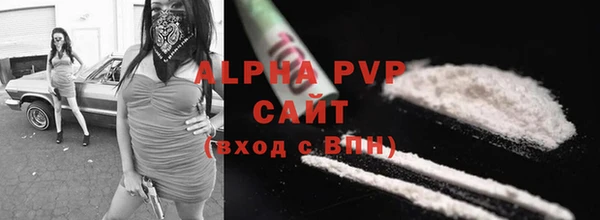 спиды Дмитриев
