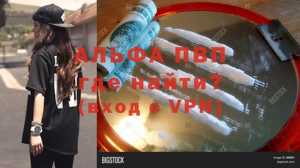 спиды Дмитриев