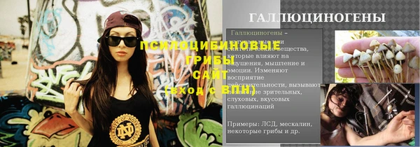 не бодяженный Гусь-Хрустальный
