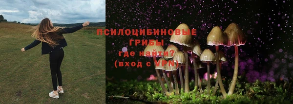ешки Дмитров