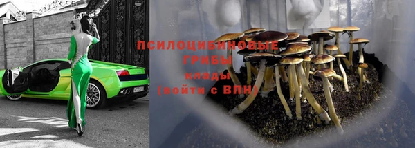 меф VHQ Гусев