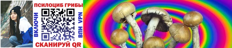 Псилоцибиновые грибы Magic Shrooms как найти закладки Жирновск