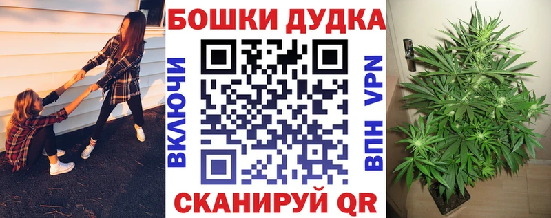 продажа наркотиков Жирновск Канабис гибрид